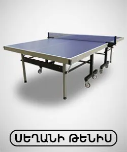 Теннисный стол