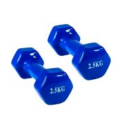Գանտել - 2x2.5կգ